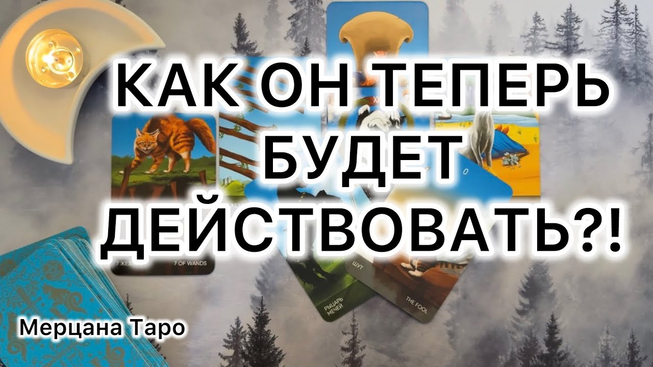 КАК ТЕПЕРЬ ОН БУДЕТ ДЕЙСТВОВАТЬ?!