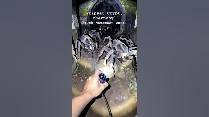 GIANT Spiders Lurking in Chernobyl's Darkest Crypts? #spider #creepy #chernobyl