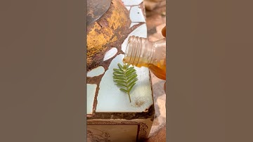 शिवलिंग पर शमीपत्र और शहद का प्रयोग #mahadev #shivmahapuran #shamipatra #honey #pradeepmishra