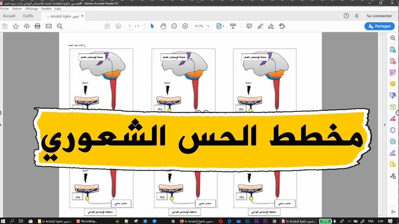 صور لمخطط الاحساس الواعي للطباعة علوم طبيعية للسنة الرابعة متوسط