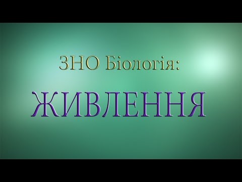 ЗНО Біологія.  Живлення