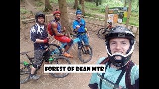 Forest of Dean MTB - What a place to 