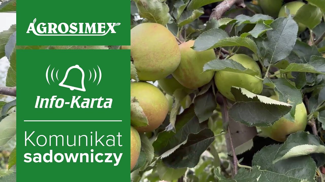 Jak zwalczać zwójki w gatunkach ziarnkowych?