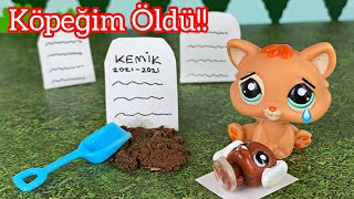 Minişler: Köpeğim Öldü!!