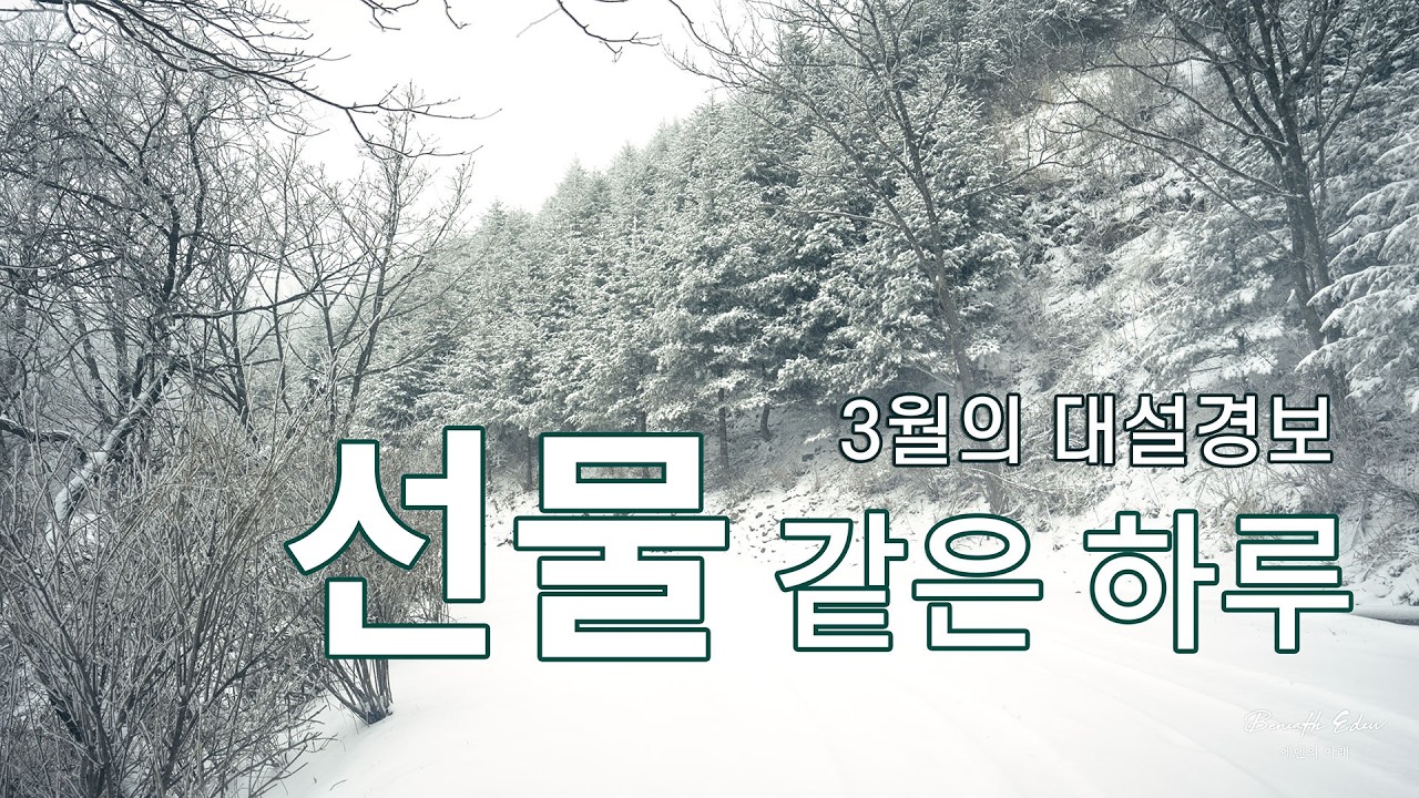 선물 같은 하루 •  대설경보 속을 정처 없이 • 운탄고도 • 4K