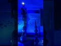 Under water maa Durga #jaymataji #song #bholenaathjikgaane #bholebhajans #bholeshankarsongs2022 #lov