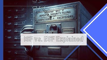 ISF vs. ESF: Key Differences in Importer and Exporter Security Filing