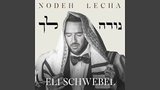 Video thumbnail of "Eli Schwebel - Nodeh Lecha"