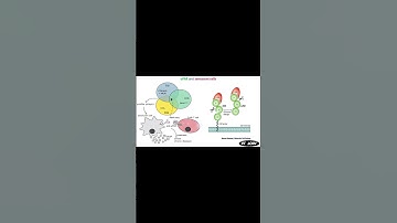 Scientists reprogram T cells to slow down and reverse aging in 2024 #medicine #antiaging #therapy