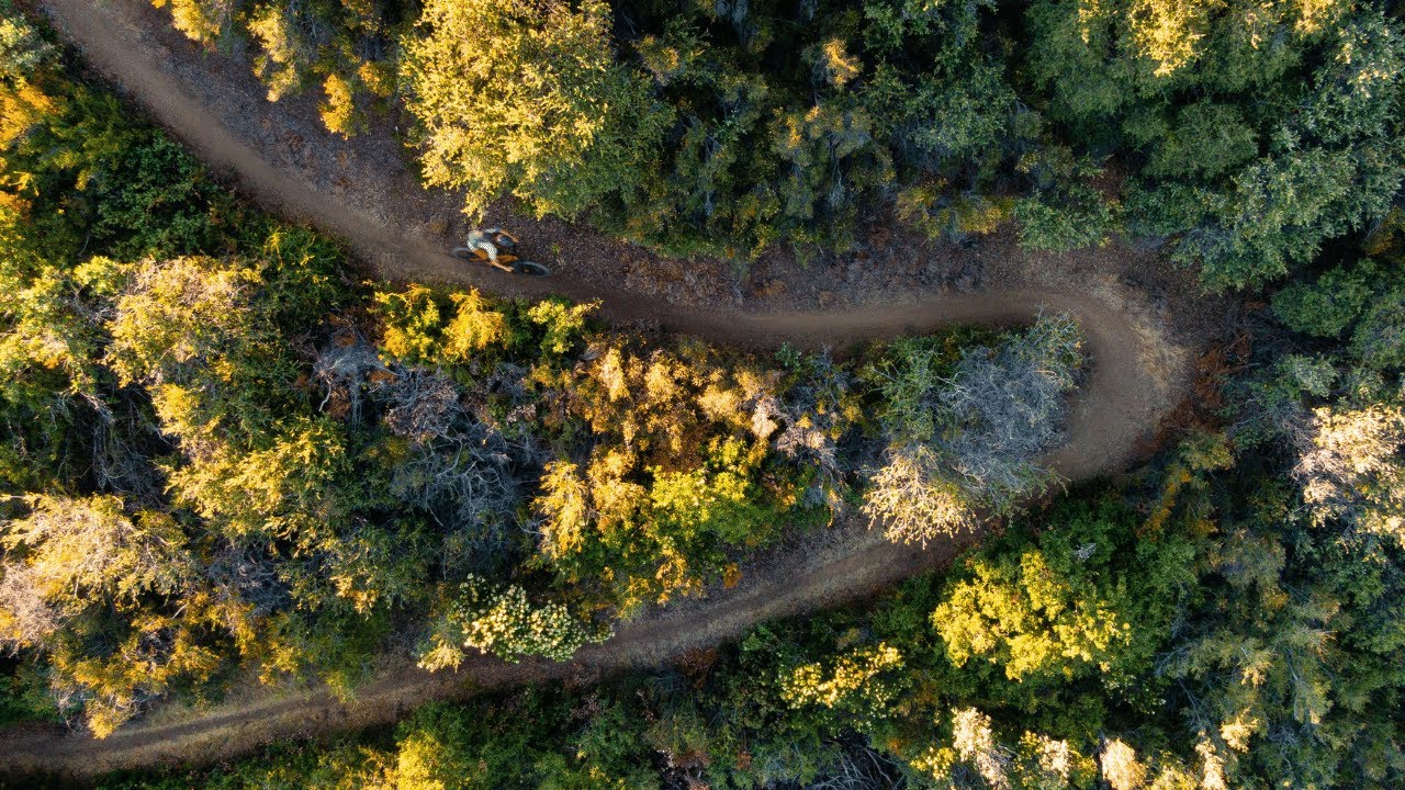 Soil Searching | Dillon Osleger