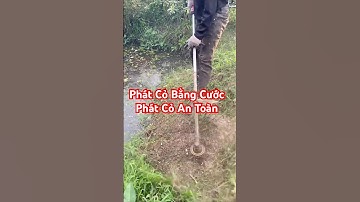 Phát Cỏ Bằng Cước - Máy Phát Cỏ Balô @AnhCắtCỏ #máycắtcỏ #maycatco #anhcatco
