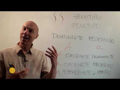 Video: Come Risolvere Un Problema Genetico