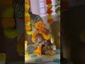 Janmashtmi Celebration #decoration #decorationideas #explore #krishnajanmashtami