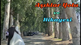 Aşıklar Yolu ve Hikayesi - Muğla - Eski Marmaris Yolu - Okaliptüs Ağaçları - Akçapınar -Ula - Gökova