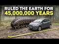 Monsters That Ruled Earth Before Dinosaurs
