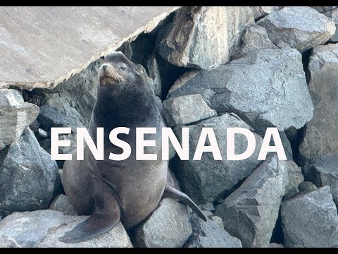 Ensenada Mexico on the Ultimate World Cruise Video Thumbnail