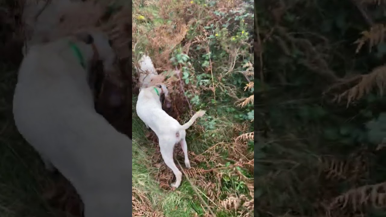 20241124 tala patton