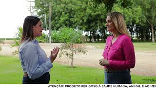 Conheça Os Principais Métodos De Controle De Plantas Daninhas Repórter Da Corteva