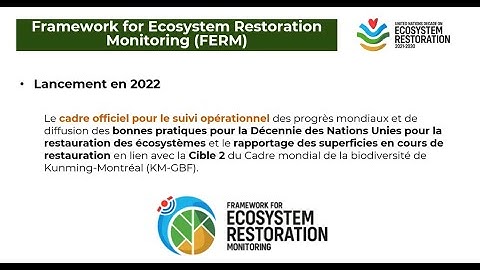FERM for GEF Projects Webinar (French)