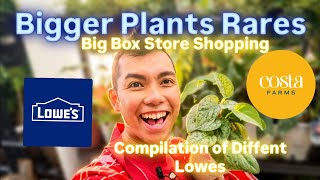 Bigger Plants In Houston?! 🌿 Lowe’s Big Box Store Plant Shopping Marathon!