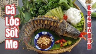 Trưa nay ăn gì: Cá lóc chiên xù cuốn bánh tráng dân dã, càng cuốn càng ngon – Sài Gòn Tiếp Thị