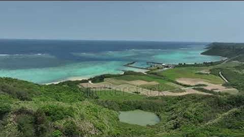 SMS Broadcast Software Free|add telegram:PMTSMS