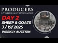 3/19/2025 - Sheep & Goat Auction - Producers Livestock Auction Company