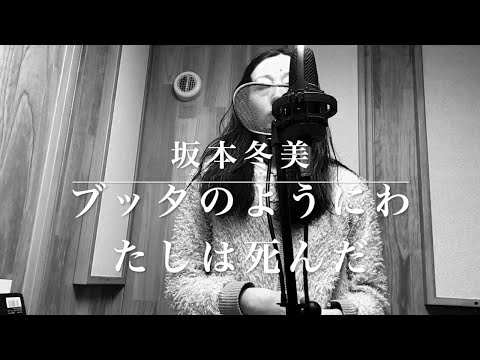 ブッダのようにわたしは死んだ 　坂本冬美 カバー（Budda noyouni watashiha shinda sakamotofuyumi）