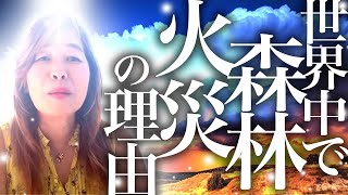 【神様の声】世界中で森林火災
