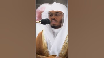 ما تيسر من سورة الجاثية 🎧🤍 #قرآن #yasseraldossary #قران_كريم #المصحف #ياسر_الدوسري #سورة_الجاثية