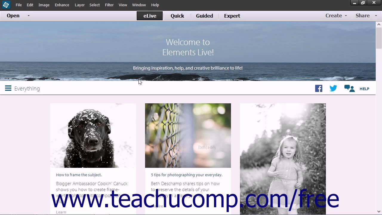 adobe photoshop elements 13 tutorial adobe photoshop elements 13 tutorial