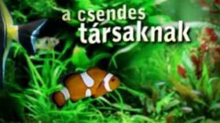 Alpha Zoo Kedvenceknek