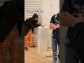 現代美術館に行けば何でもアートになる