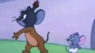 Little Cracker Jerry