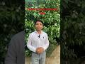 #thought#about#people#knowledge#viral#youtubeshorts#education#youtubeshortsviral