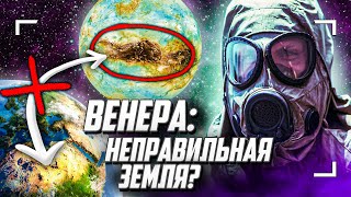 Почему Венера - НЕ сестра Земли? Feat. Евгений Щербаков