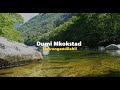 Dumi Mkokstad – Mawungandilahli (Official Lyric Video)