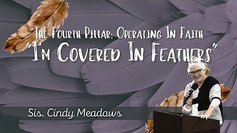 4th Pillar - I'm Covered With Feathers - Cindy Mea...