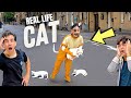 BECOMING CAT IN REAL LIFE WITH MY BROTHER &amp; SISTER | Rimorav Vlogs