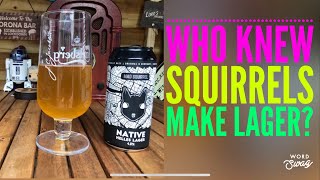 Mad Squirrel | NATIVE HELLES Lager | HELLES lager | 4.8 % ABV