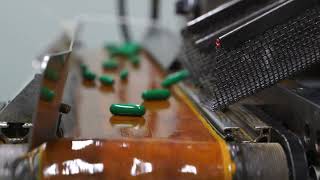 Celebrity The Chemical Manufacturing & Controls (CMC) Function Profile