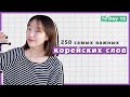 12 день -Учим с Чериш 250 необходимых корейских слов 한국어 250 단어 외우고 왕초보 탈출하기