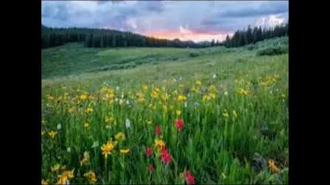 God's Faithfulness in Change by Cindy Osgood Pasto...