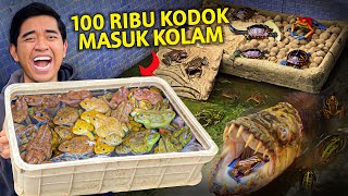 MASUKIN 100RIBU KODOK KE KOLAM! LANGSUNG DISERBU MONSTER!