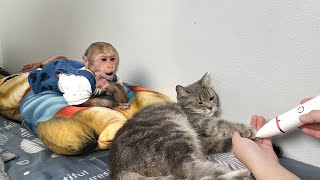 Lala and Siba become more harmonious and bonded After Mom’s clever idea!