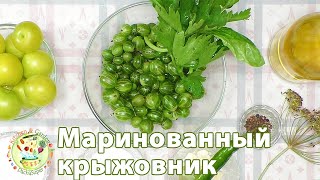 Маринованный крыжовник на зиму