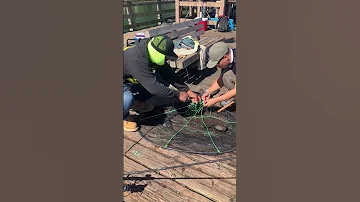 Ray Nets 2 Salmon With WWJs Net 