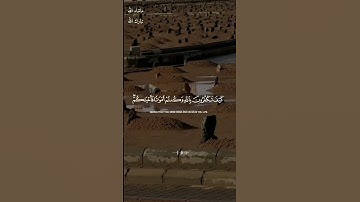 كيف تكفرون بالله /القارئ ابراهيم شرف ابوطالب
