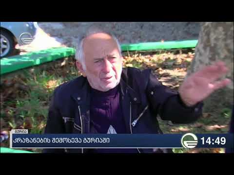 გურიაში კრაზანების შემოსევას უჩივიან