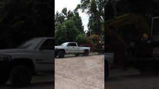IMG 1985